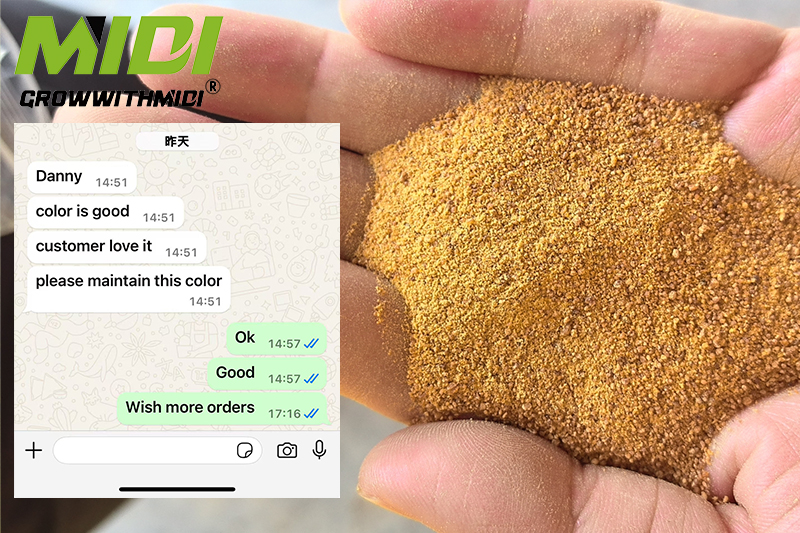 Feed additives Corn Gluten Meal 60% Positive Reviews
